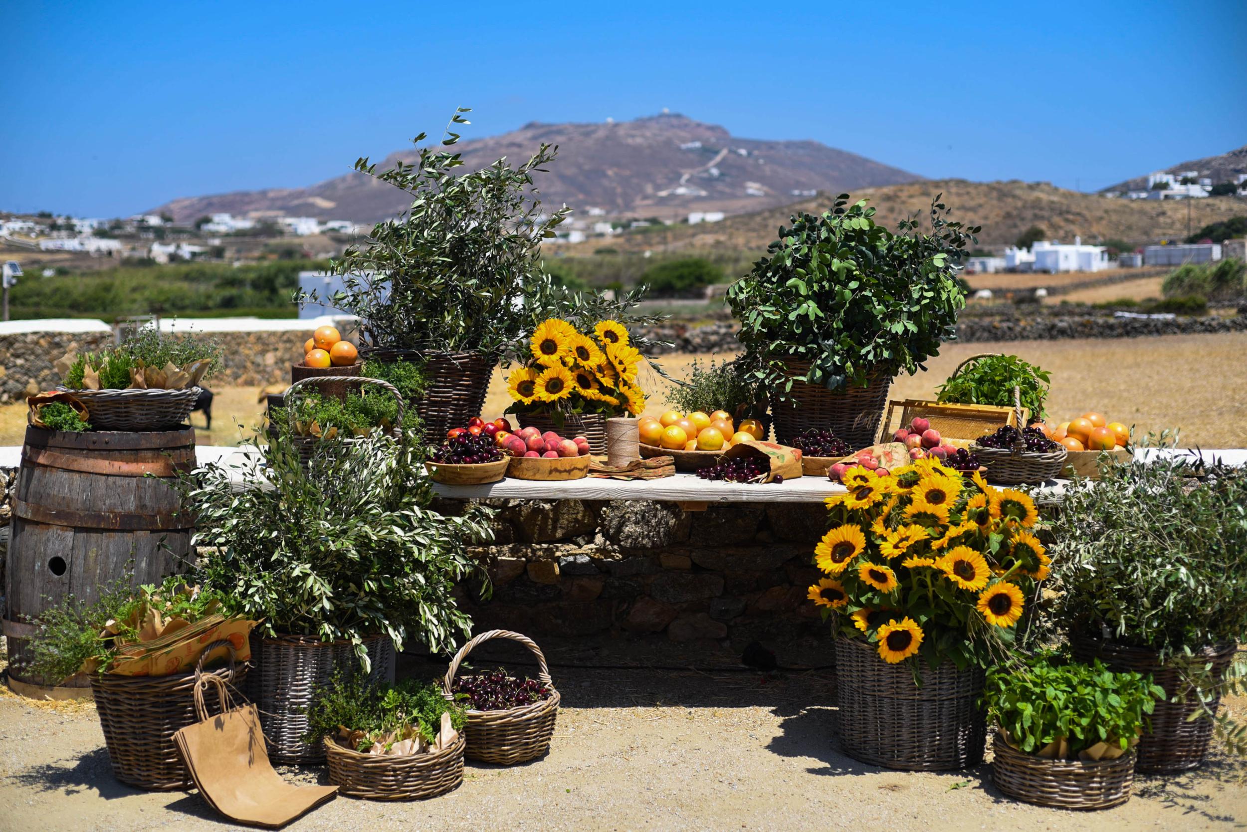 E&C Mykonos wedding - Image 79