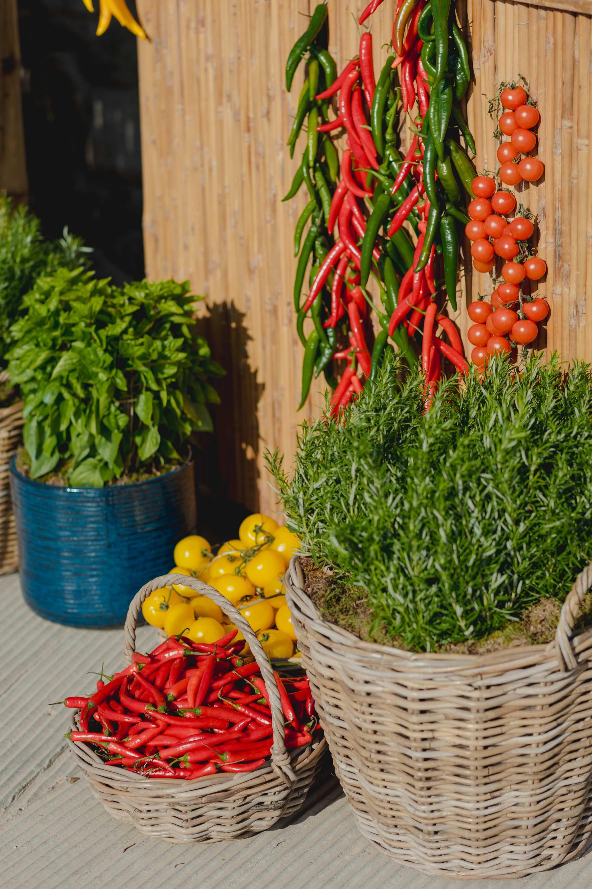 E&G Mykonos pre-wedding & wedding - Image 30